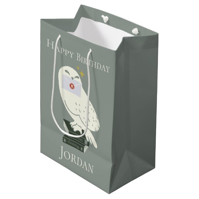 Hedwig With Letter Whimsical Drawing Medium Gift Bag (Front Angled)