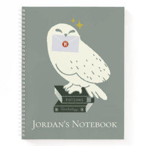 Hedwig With Letter Whimsical Drawing Notebook