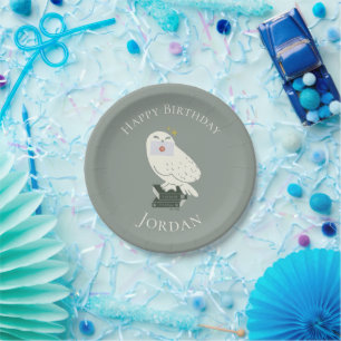 Hedwig With Letter Whimsical Drawing Paper Plates