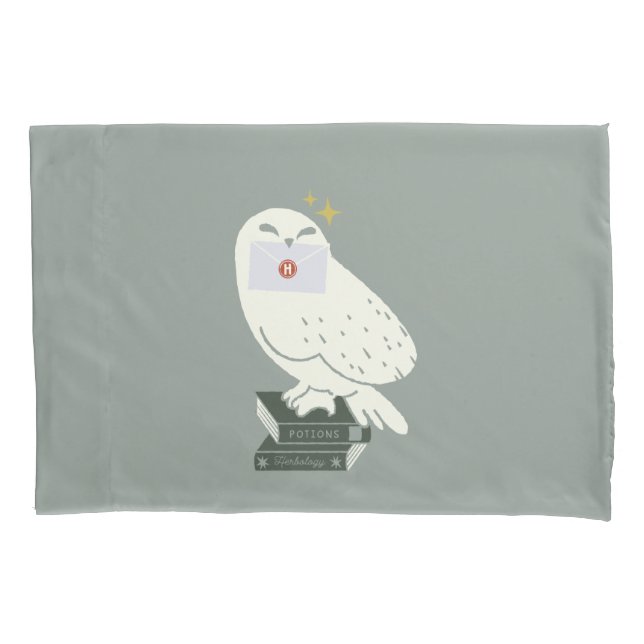 Hedwig With Letter Whimsical Drawing Pillow Case (Front)