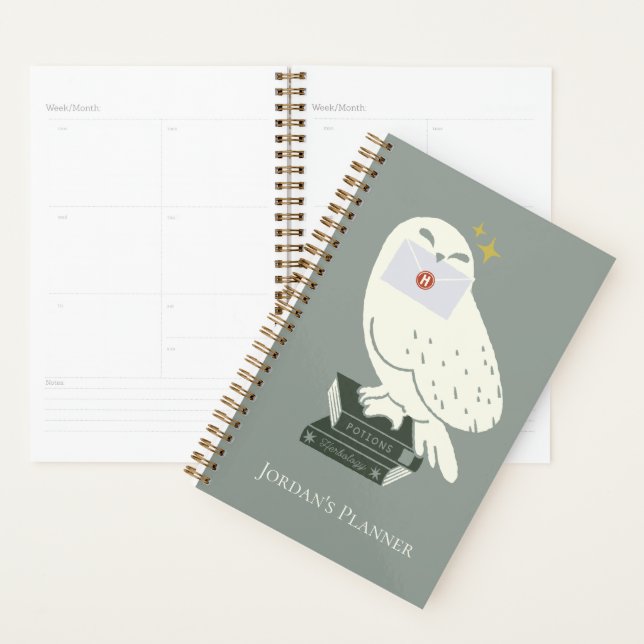 Hedwig With Letter Whimsical Drawing Planner (Display)