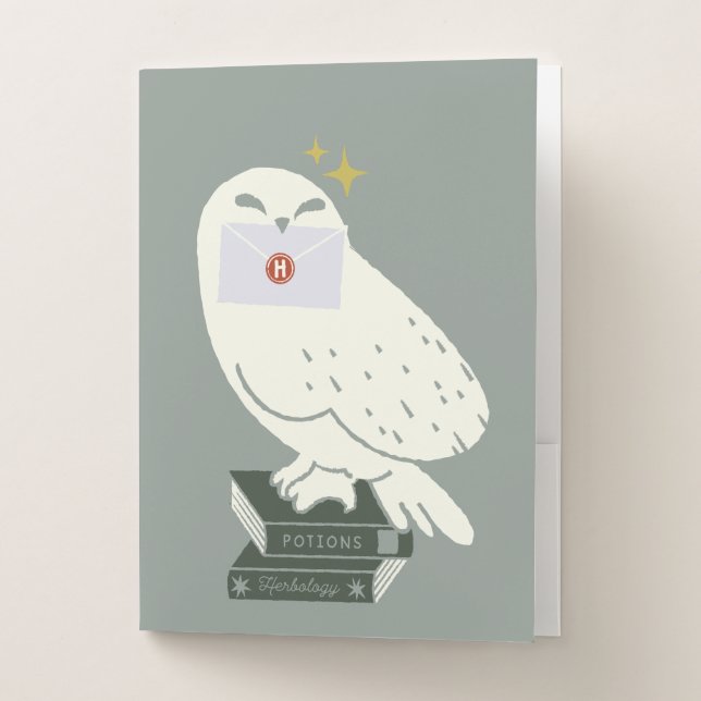 Hedwig With Letter Whimsical Drawing Pocket Folder (Front)