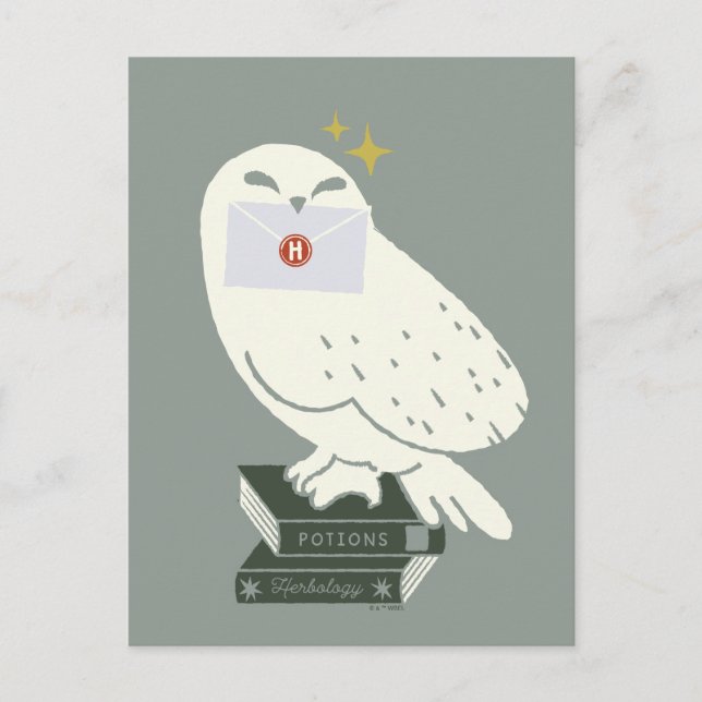 Hedwig With Letter Whimsical Drawing Postcard (Front)