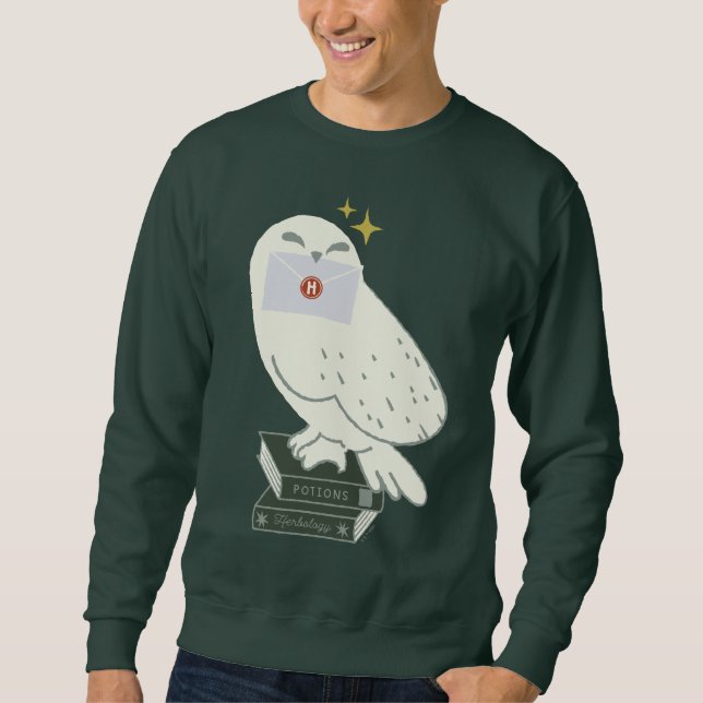 Hedwig With Letter Whimsical Drawing Sweatshirt (Front)