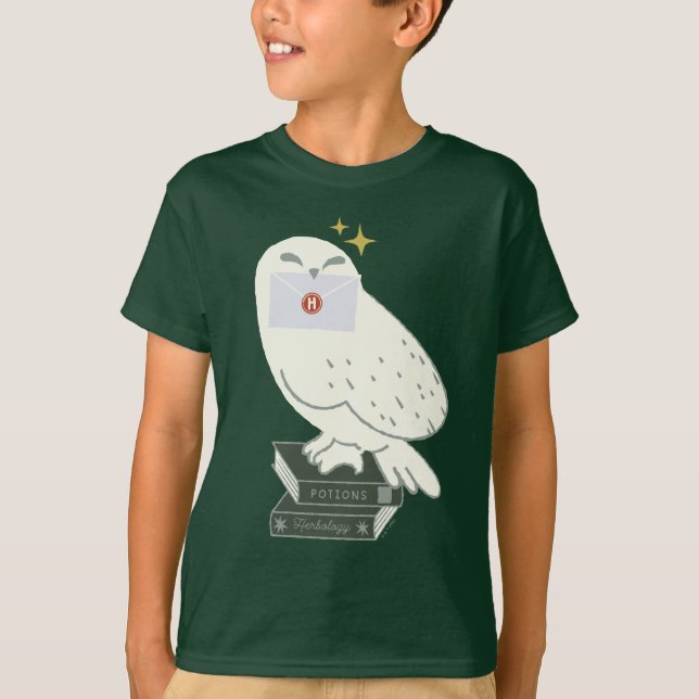 Hedwig With Letter Whimsical Drawing T-Shirt (Front)