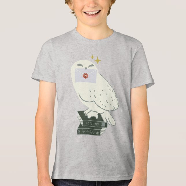 Hedwig With Letter Whimsical Drawing Tri-Blend Shirt (Front)