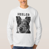 Heeler Blue Heeler Dog