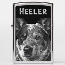 Heeler Blue Heeler Dog
