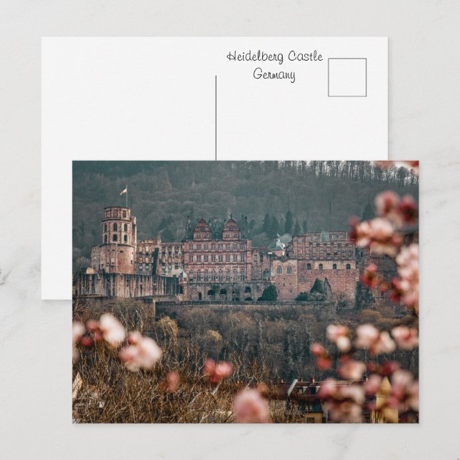 Heidelberg Castle Spring | Romantic Germany  Postcard (Front/Back)