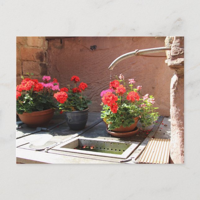 Heidelberg Outdoor Sink Postcard (Front)