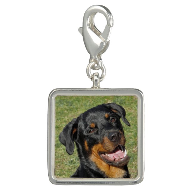 Heidi Cute Rottweiler Charm (Front)