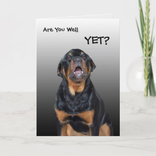 Heidi "Get Well Soon" Greeting Card