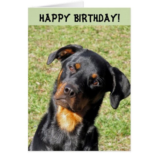 Heidi Happy Birthday Card | Zazzle