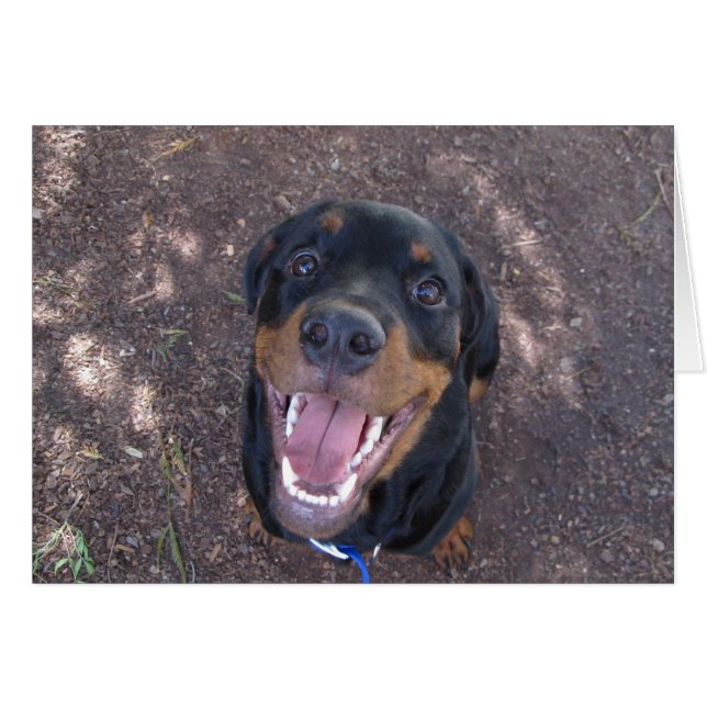 Heidi Happy Rottweiler Blank Greeting Card (Front Horizontal)