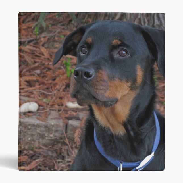 Heidi Rottweiler Binder (Front)