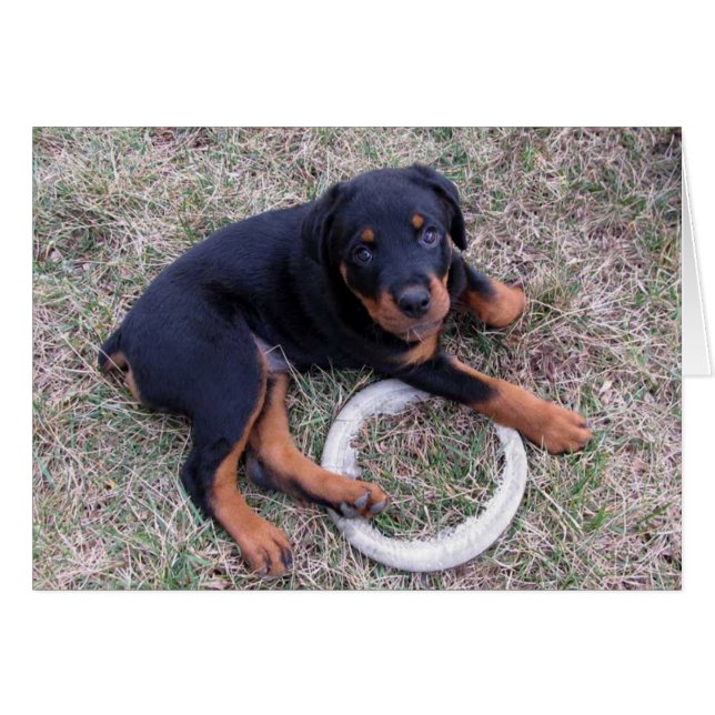 Heidi Rottweiler Counting The Hours Card (Front Horizontal)