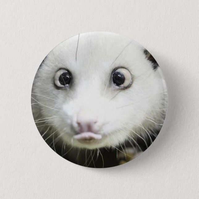 Heidi The Cross Eyed Opossum Button (Front)