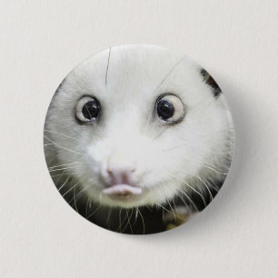 Heidi The Cross Eyed Opossum Button