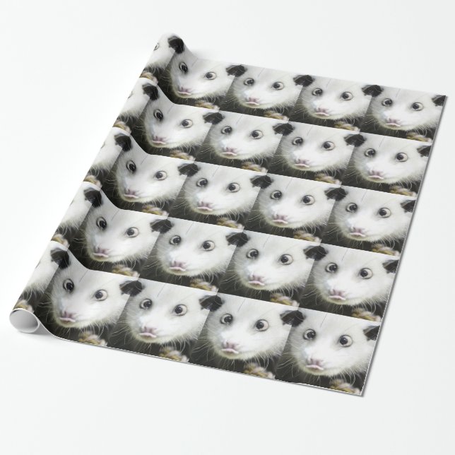 Heidi The Cross Eyed Opossum Wrapping Paper (Unrolled)