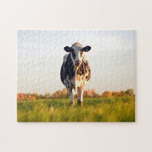 Heifer in the Pasture Jigsaw Puzzle