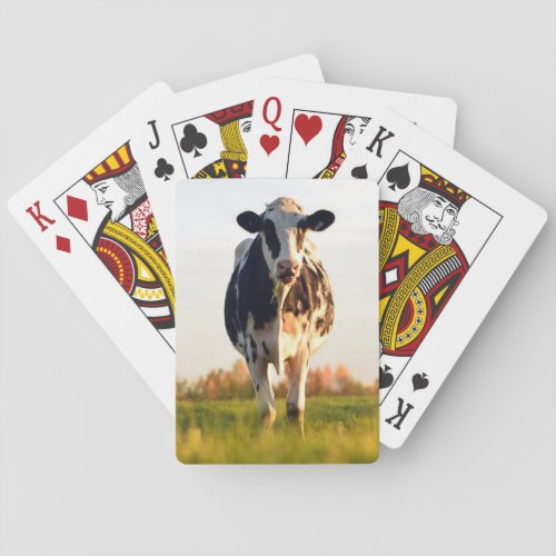 Heifer in the Pasture Playing Cards