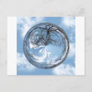 Heights of Heaven with tree, clouds , sky, bubble Postcard