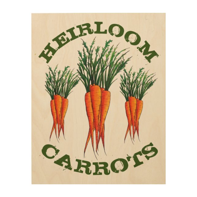 Heirloom Carrots Vegetable Kitchen Illustration Wood Wall Art (Front)