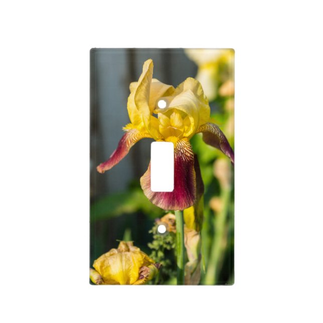 Heirloom Iris Light Switch Cover (Front)
