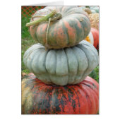 Heirloom Pumpkin Stack (Front)