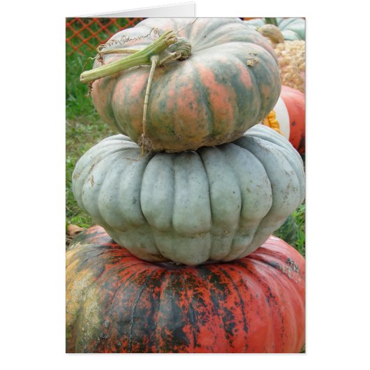Heirloom Pumpkin Stack Cards (Front)