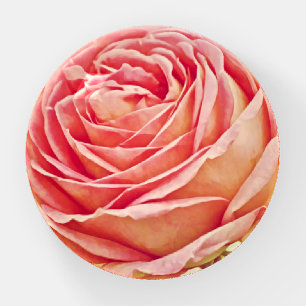 Heirloom Rose Vintage Style Glass Paperweight