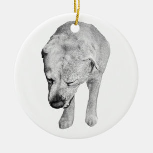 Heirloom Shading, Labrador Keepsake Ceramic Ornament