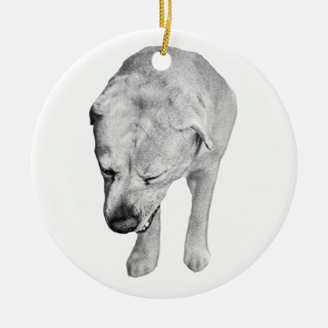 Heirloom Shading, Labrador Keepsake Ceramic Ornament (Front)