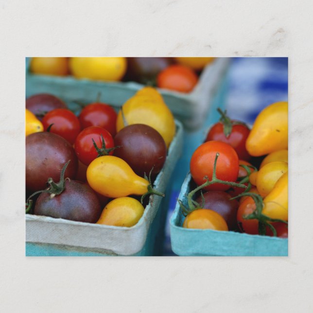 Heirloom Tomatoes Postcard (Front)