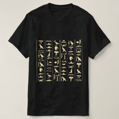 Heiroglyphic egyptian language T_shirt