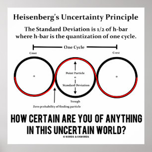 Heisenberg's Uncertainty Principle Physics Humor Poster