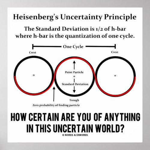 Heisenbergs Uncertainty Principle Physics Humor Poster