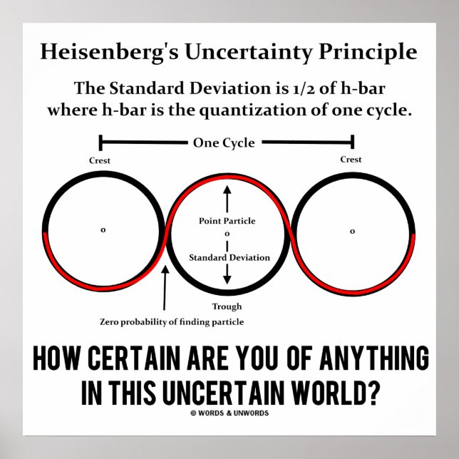 Heisenberg's Uncertainty Principle Physics Humor Poster (Front)