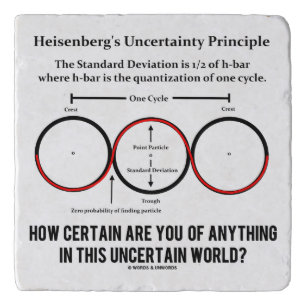 Heisenberg's Uncertainty Principle Physics Humor Trivet