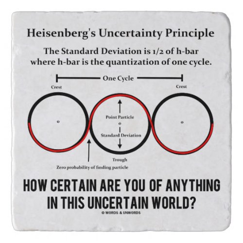 Heisenbergs Uncertainty Principle Physics Humor Trivet