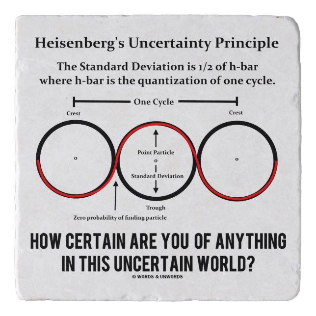 Heisenberg's Uncertainty Principle Physics Humor Trivet (Front)
