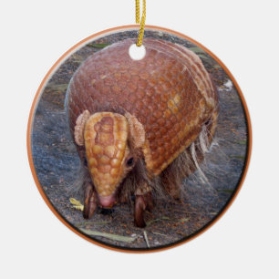 Helaine's Armadillo Ceramic Ornament
