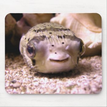 Helaine's Blowfish Pufferfish Mouse Pad by hawkysmom at Zazzle
