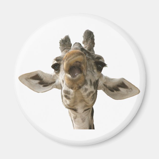 Helaine's Goofy Giraffe Magnet (Front)