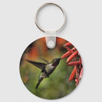Helaine's Hummingbird 2 Keychain by hawkysmom at Zazzle
