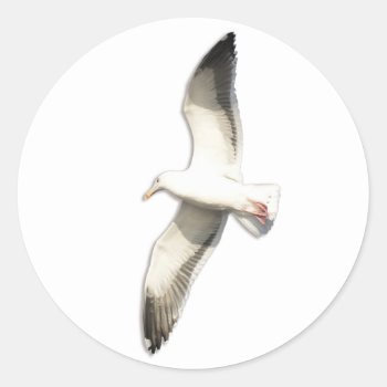 Helaine's Soaring Seagull Classic Round Sticker by hawkysmom at Zazzle