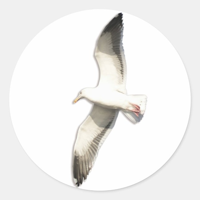 Helaine's Soaring Seagull Classic Round Sticker (Front)