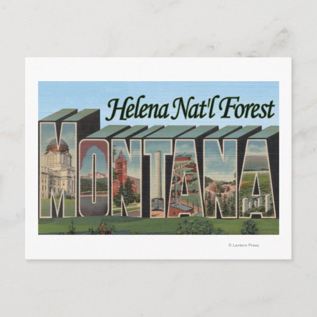 Helena Nat'l Forest, Montana Postcard (Front)