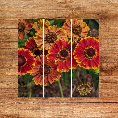 Helenium Autumnale Blooms Floral Triptych