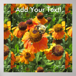 Helenium Bee Orange Flower Poster